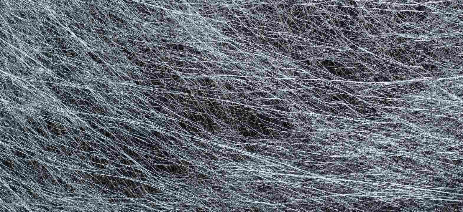 Scenario of viscose pulp and fiber industry